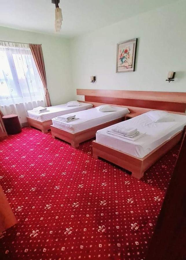 Motel Cool Bărcăneşti Værelse billede